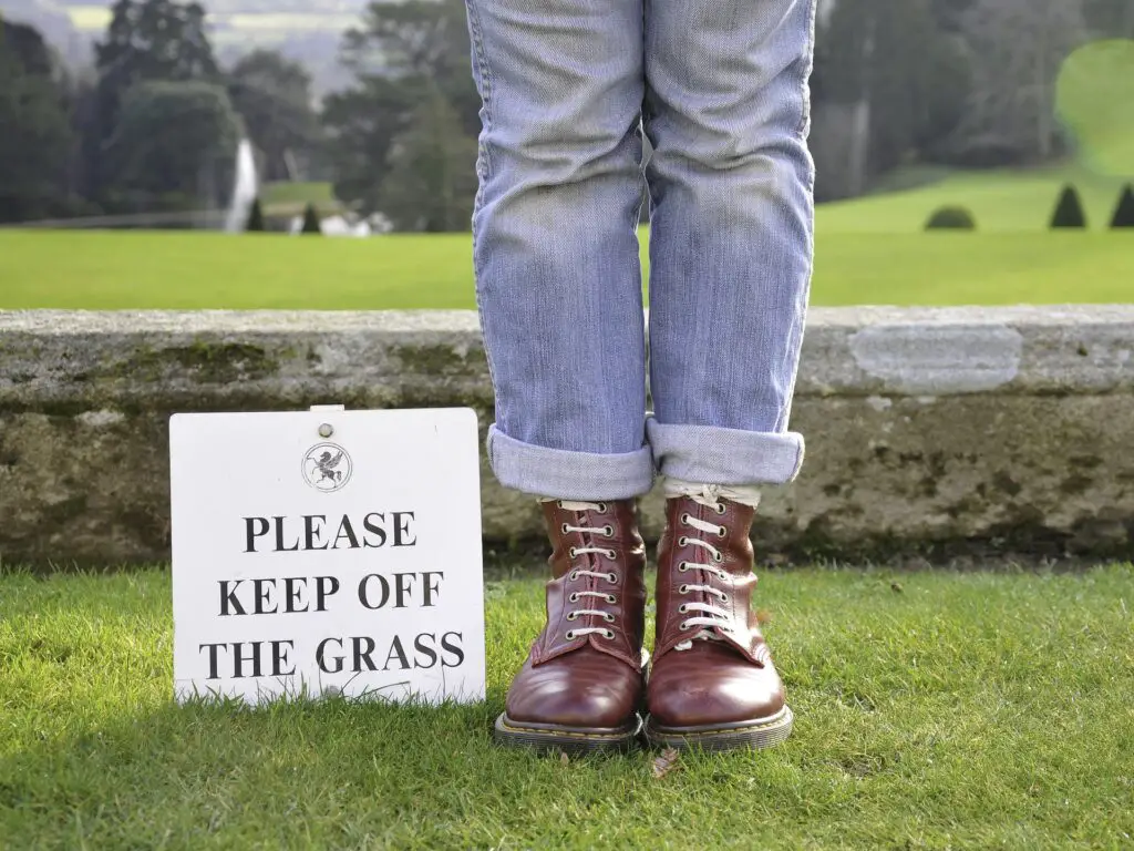 image of someone standing on grass for Why Are Rules Important For A Child post